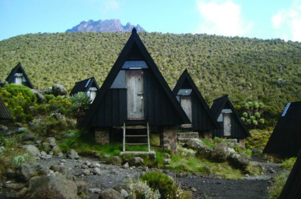 Mandara Hut to Horombo Hut, photo 1