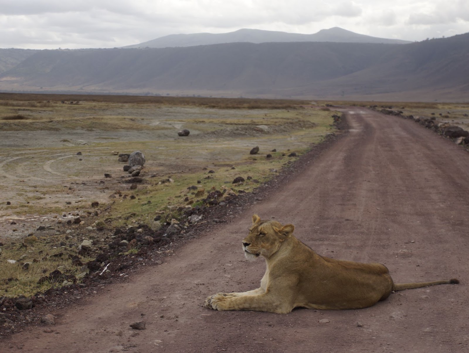 Day Two: Ngorongoro Crater, photo 3