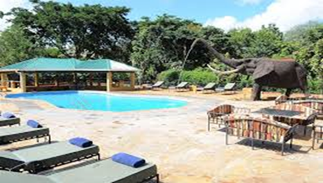 Day 1: Serengeti, photo 3