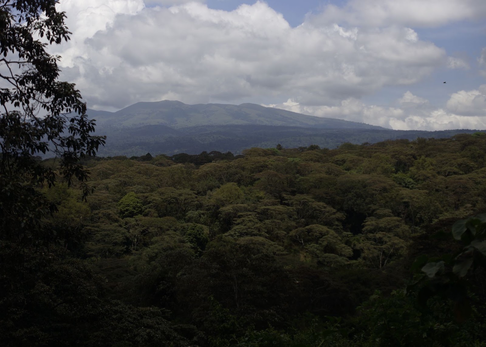 Day 2: Manyara - Ngorongoro, photo 2
