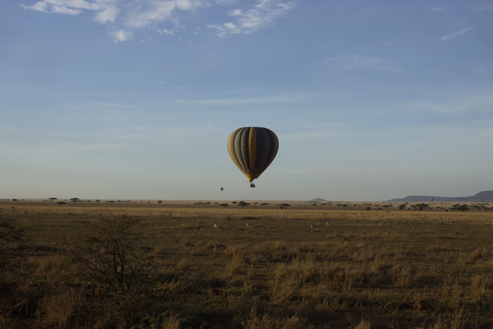 Day 3: Serengeti, photo 3