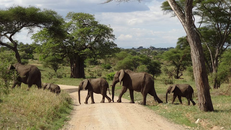 Day 6: Tarangire - Moshi, photo 1