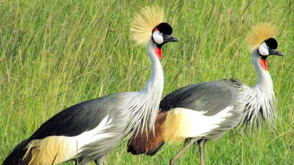 Day 6: Tarangire - Moshi, photo 2